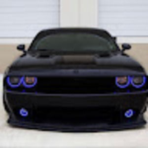 Meet your Posher, Karli